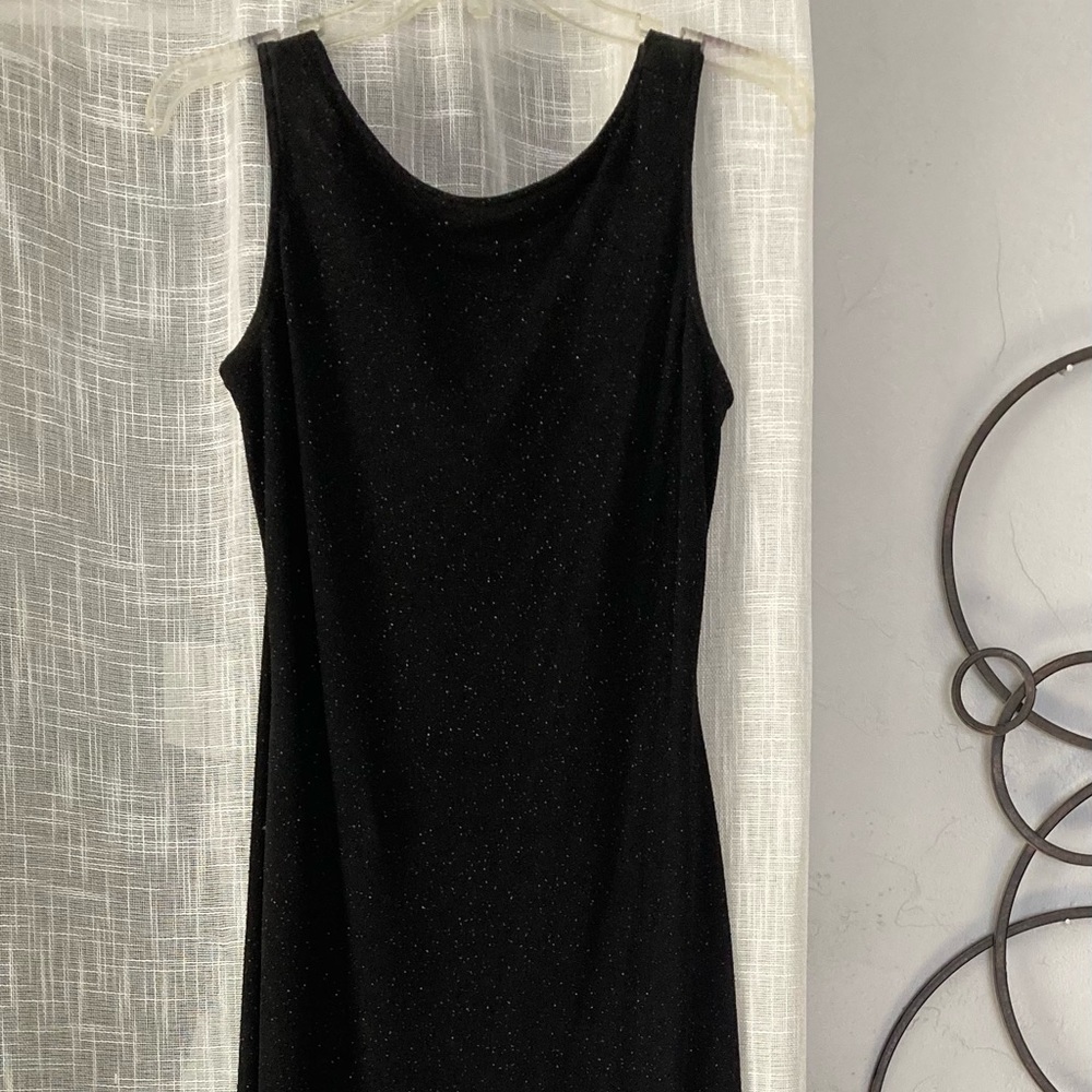 Alyn Paige Long Dress